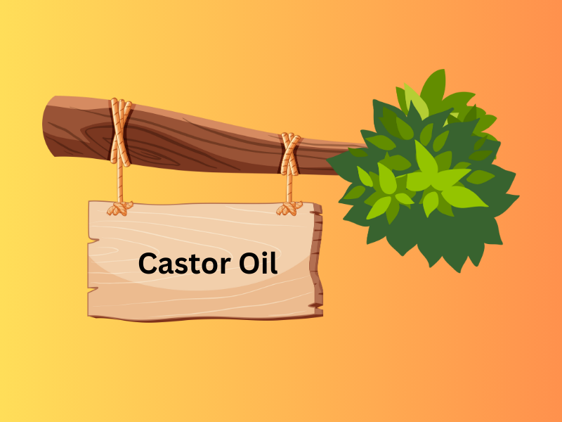 The Power of Castor Oil: Your Go-To for Hair, Skin, and Beyond!